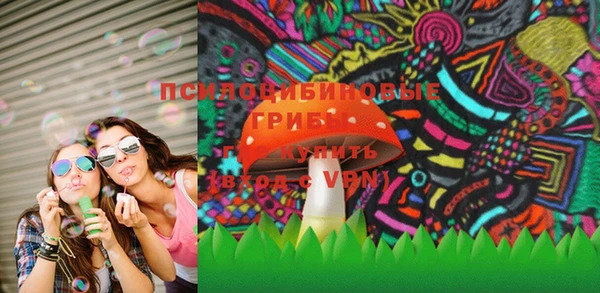 сатива Волосово