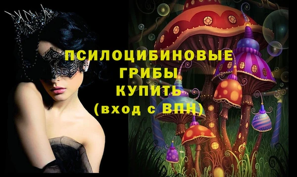 сатива Волосово