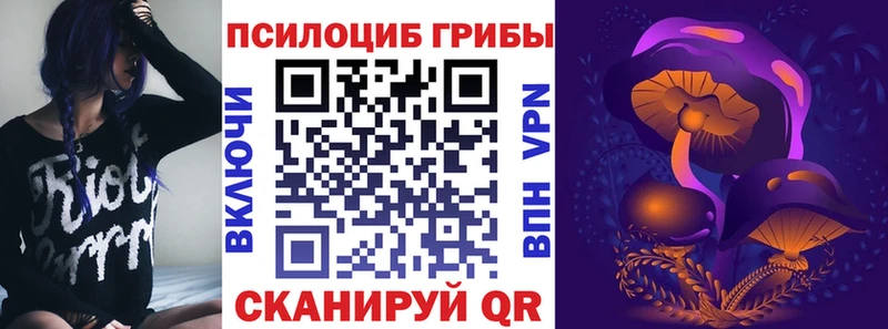 Купить  Вуктыл  Псилоцибиновые грибы Cubensis 